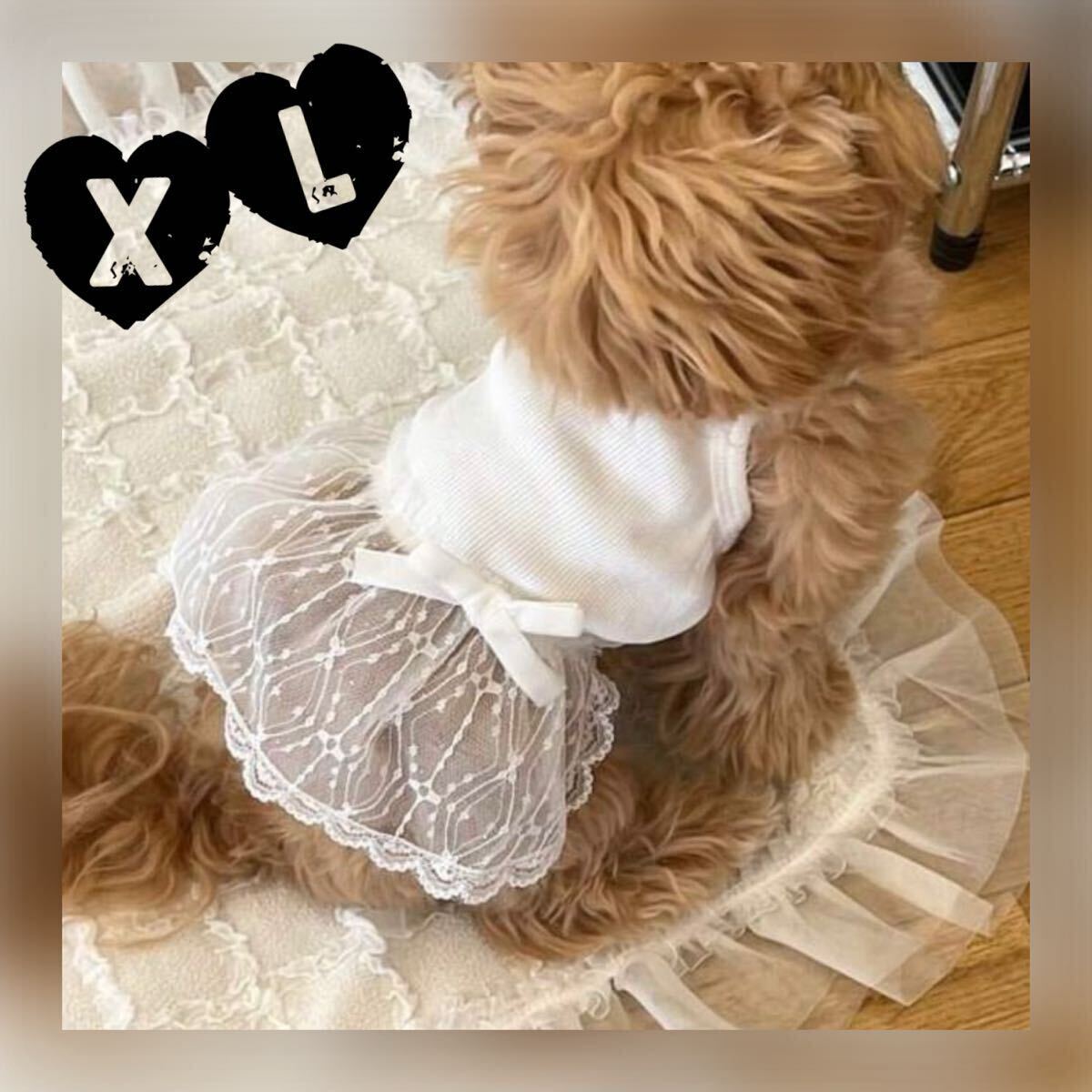 XL レース シアー キャミ ワンピース (白) 犬服 猫服 犬の服 小型犬 ペット服 ペット用品 スカート ドッグウェア リボン 夏拍卖
