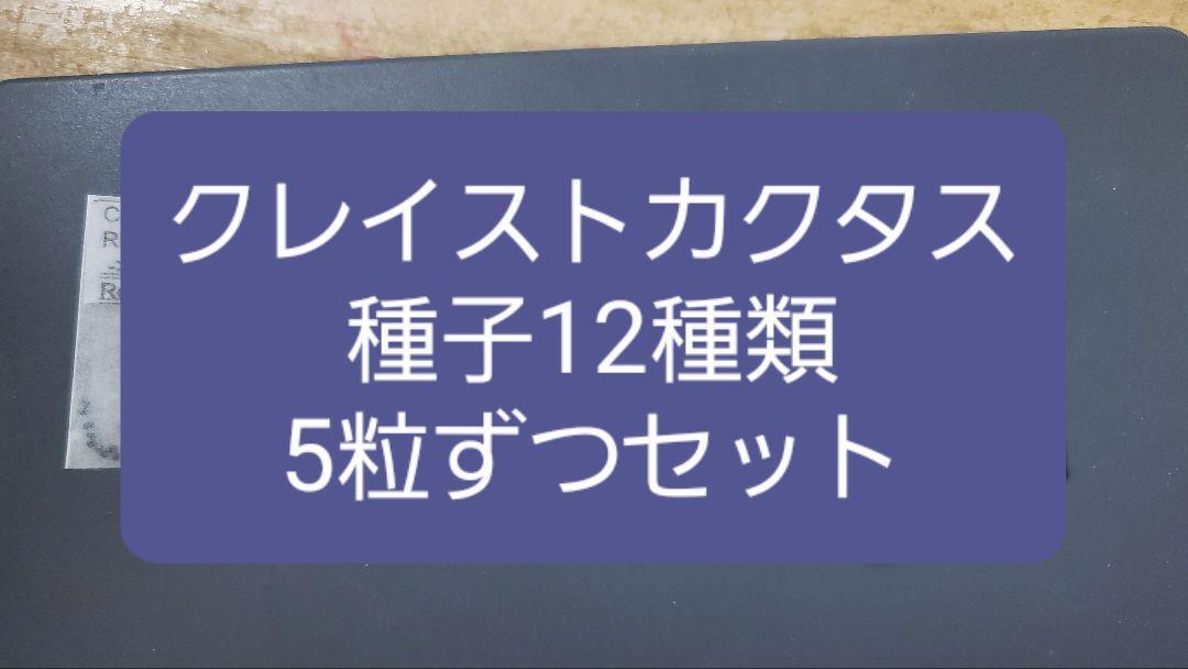 柱サボテン クレイストカクタス 種子12種類 5粒ずつセット拍卖