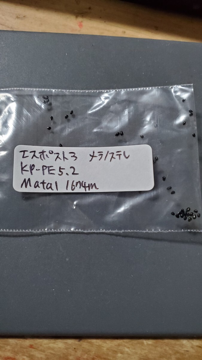 エスポストア メラノステレ KP-PE5.2 種子10粒拍卖