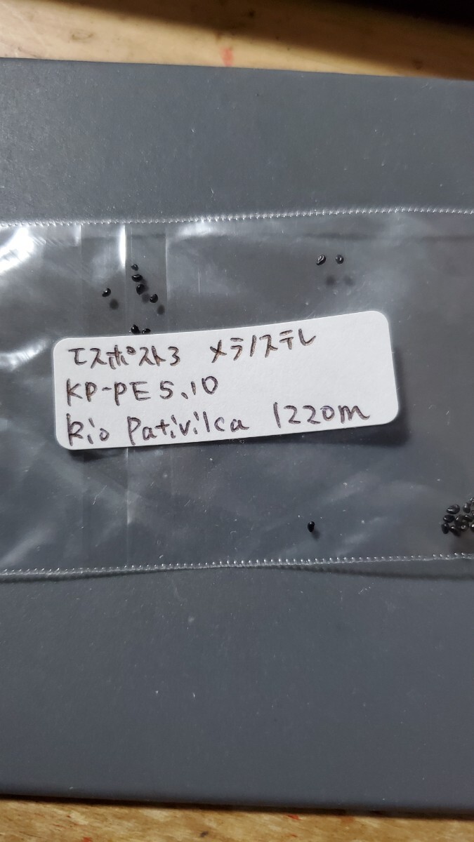 エスポストア メラノステレ KP-PE5.10 種子10粒拍卖