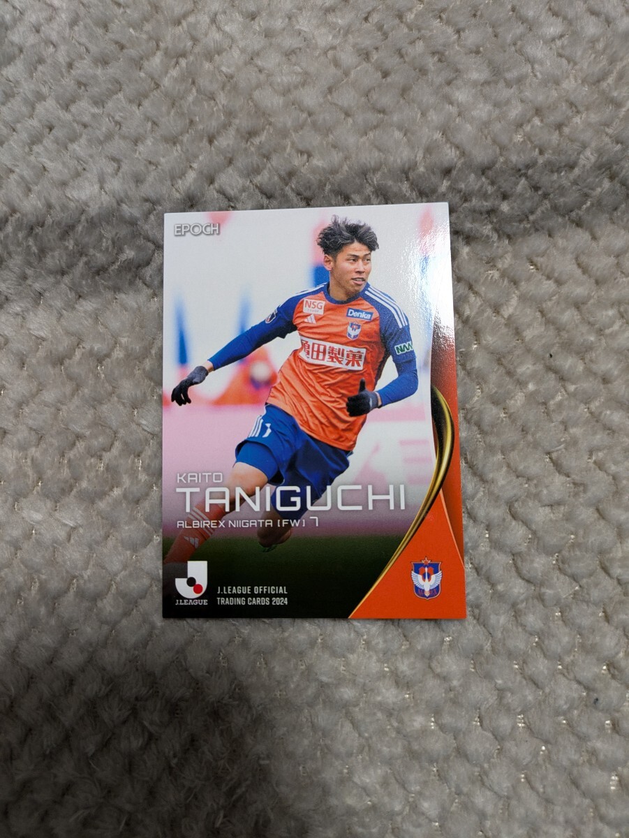 2024 Jリーグオフィシャルトレーディングカード アルビレックス新潟 谷口海斗 084拍卖