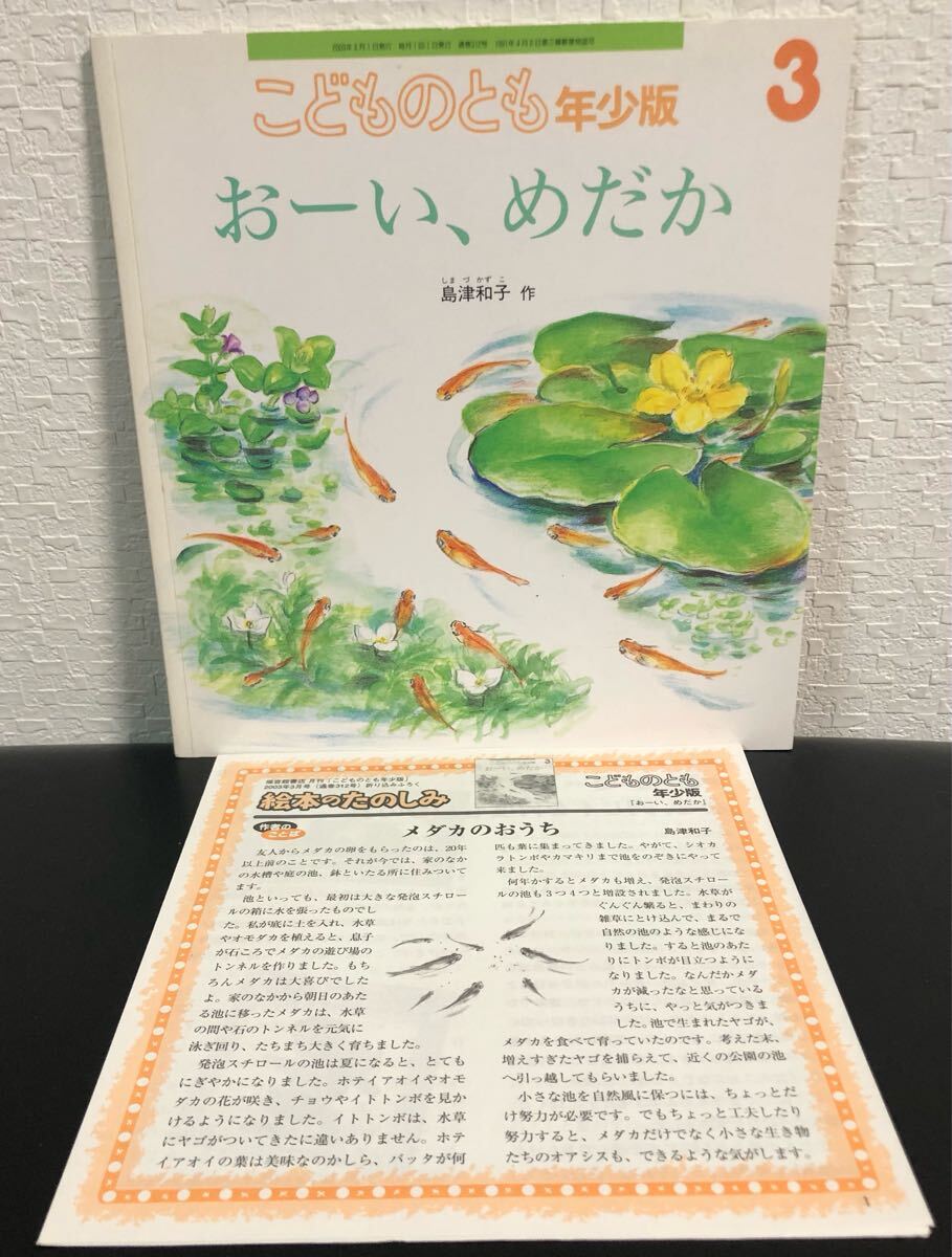 ◆当時物◆ おーい、めだか こどものとも 年少版 島津和子 折り込み絵本付き 福音館 2003年 レトロ絵本拍卖
