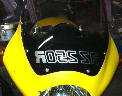 RZ250R RZR ビキニカウル スクリーン用デカール カッティングステッカー ypvs チャンバー拍卖