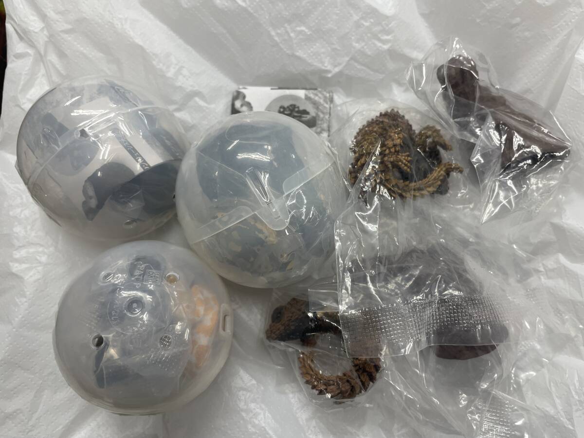 送料無料!? いきもの大図鑑 指まきコレクション アルマジロトカゲとボールパイソン 全種 全5種セット拍卖