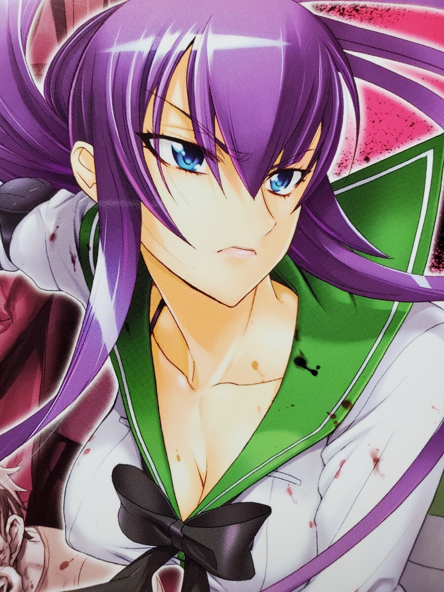 学園黙示録 HIGHSCHOOL OF THE DEAD 5 ハイスクールオブザデッド HOTD拍卖