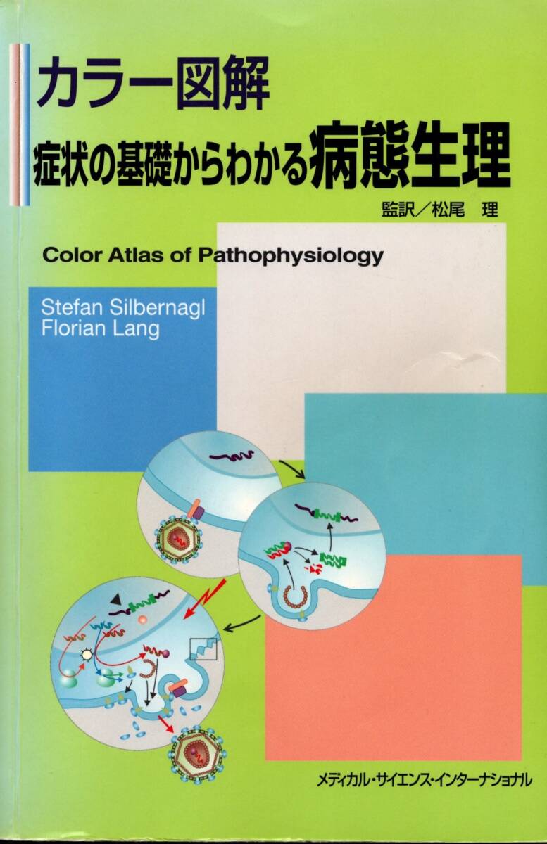 カラー図解症状の基礎からわかる病態生理 Stefan Silbernagl/〔著〕 Florian Lang/〔著〕 松尾理/監訳拍卖
