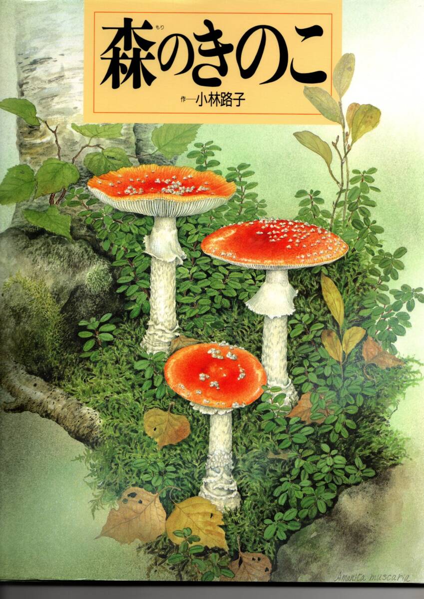森のきのこ (絵本図鑑シリーズ)拍卖