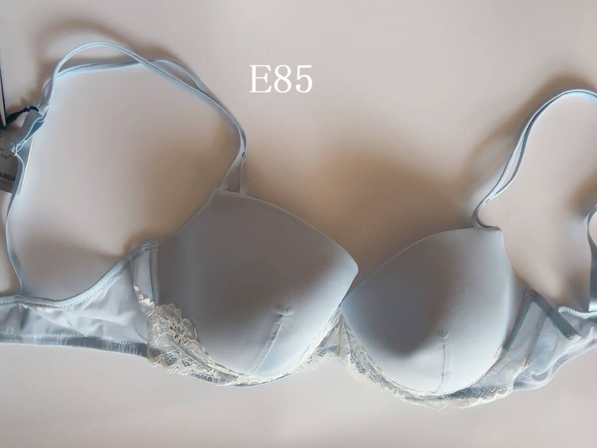 E85☆Andres Sarda EDEN アンドレサルダ スペイン高級ランジェリー モールドブラ拍卖