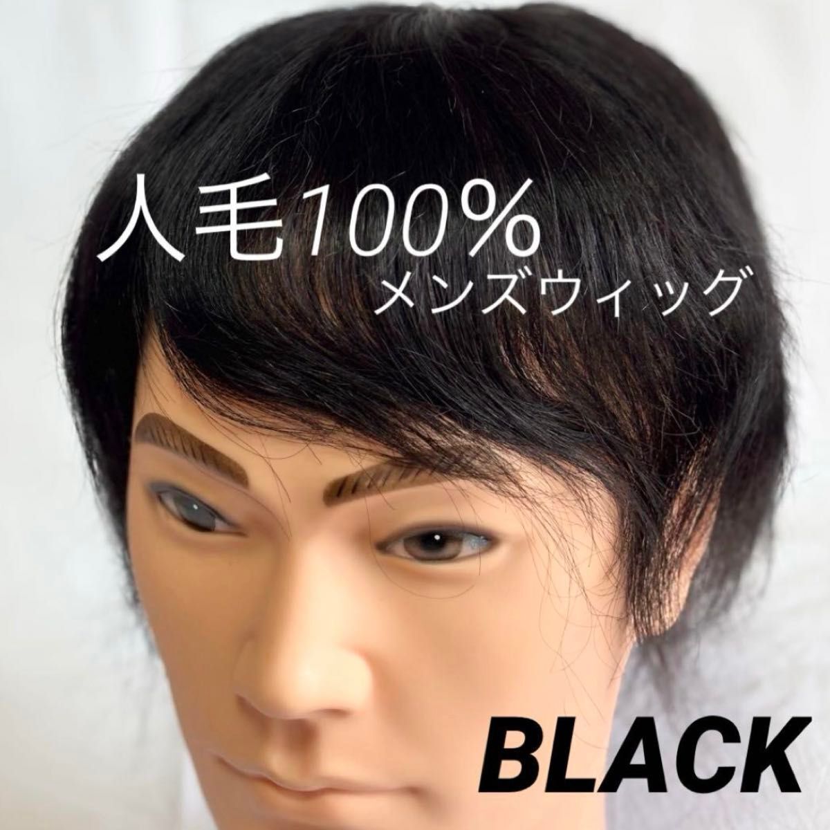 大幅値下げ!【14×22サイズ】メンズ ウィッグ 男性用 かつら 100%人毛 黑色拍卖