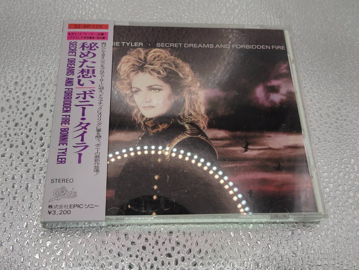 Bonnie Tyler Secret Dreams And Forbidden Fire ボニー・タイラー / 秘めた想い 箱帯き拍卖