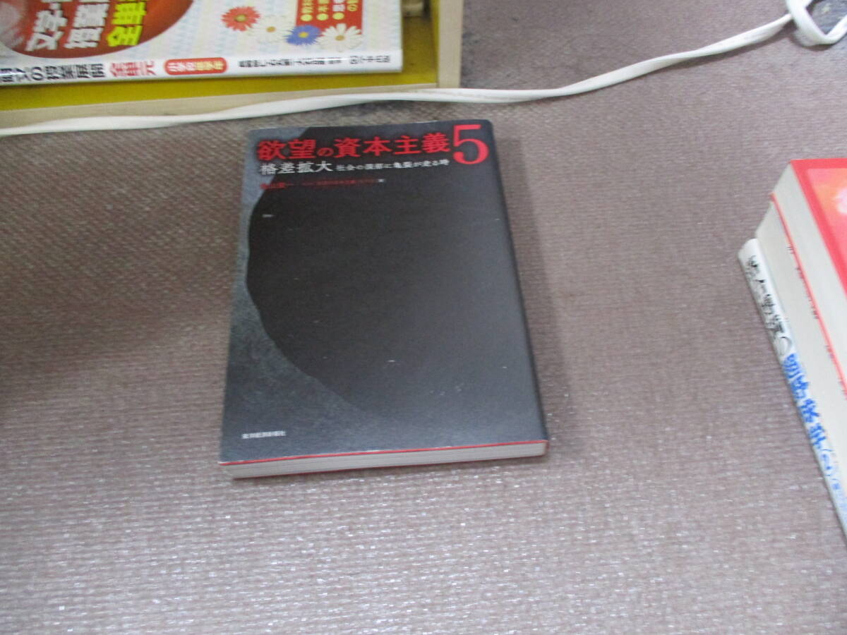 E 欲望の資本主義5: 格差拡大 社会の深部に亀裂が走る時2021/9/17 丸山 俊一, NHK「欲望の資本主義」制作班拍卖