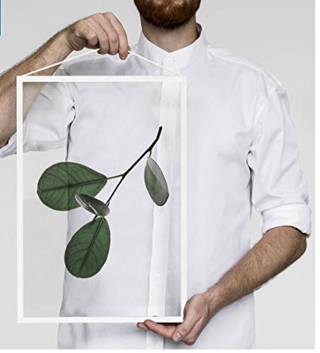 MOEBE / FRAME-A4(Aluminium(White)拍卖