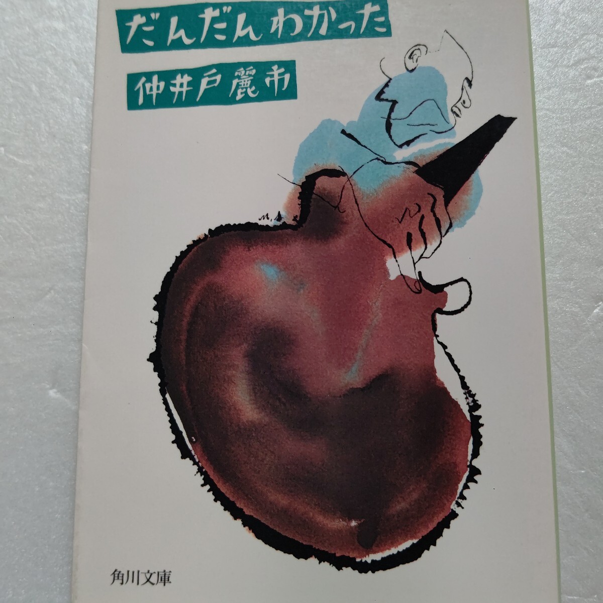 ■ だんだんわかった 仲井戸麗市想いあふれるあの日々をつめこんだ初のエッセイ集 ビートルズ 見に行ったライブ達 古井戸 忌野清志郎他多数拍卖