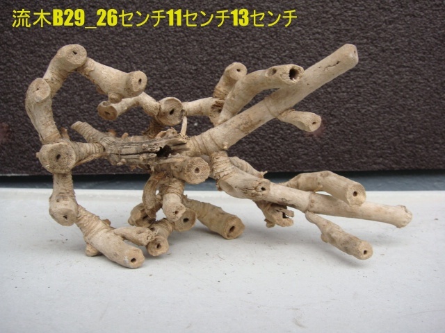 流木B29_26センチ11センチ13センチ拍卖