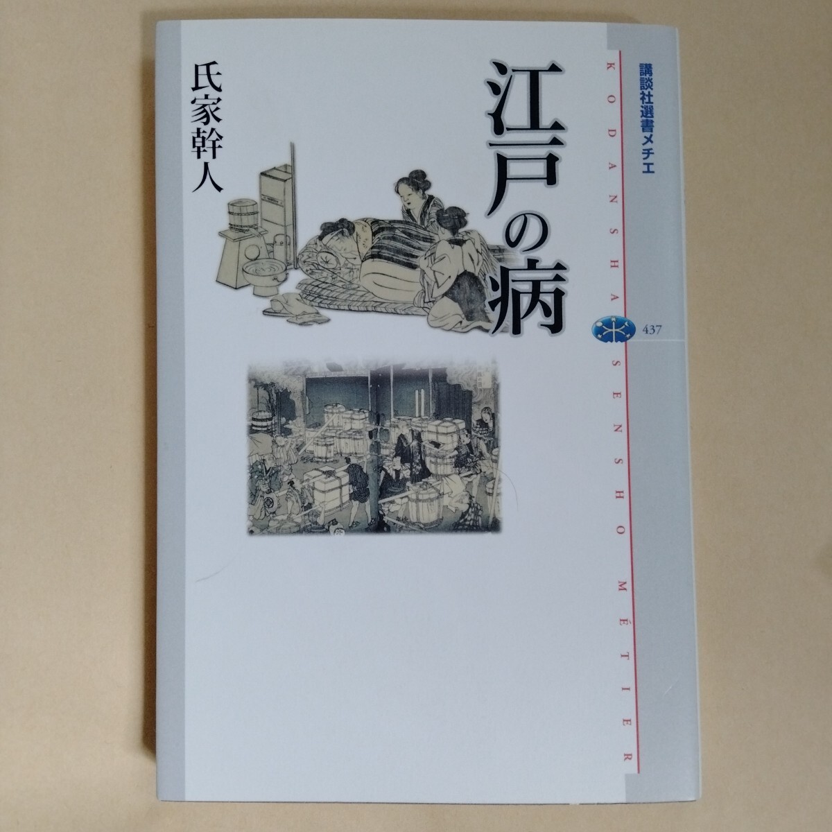 /6.01/ 江戸の病 (講談社選書メチエ 437) 氏家幹人/著 250401拍卖