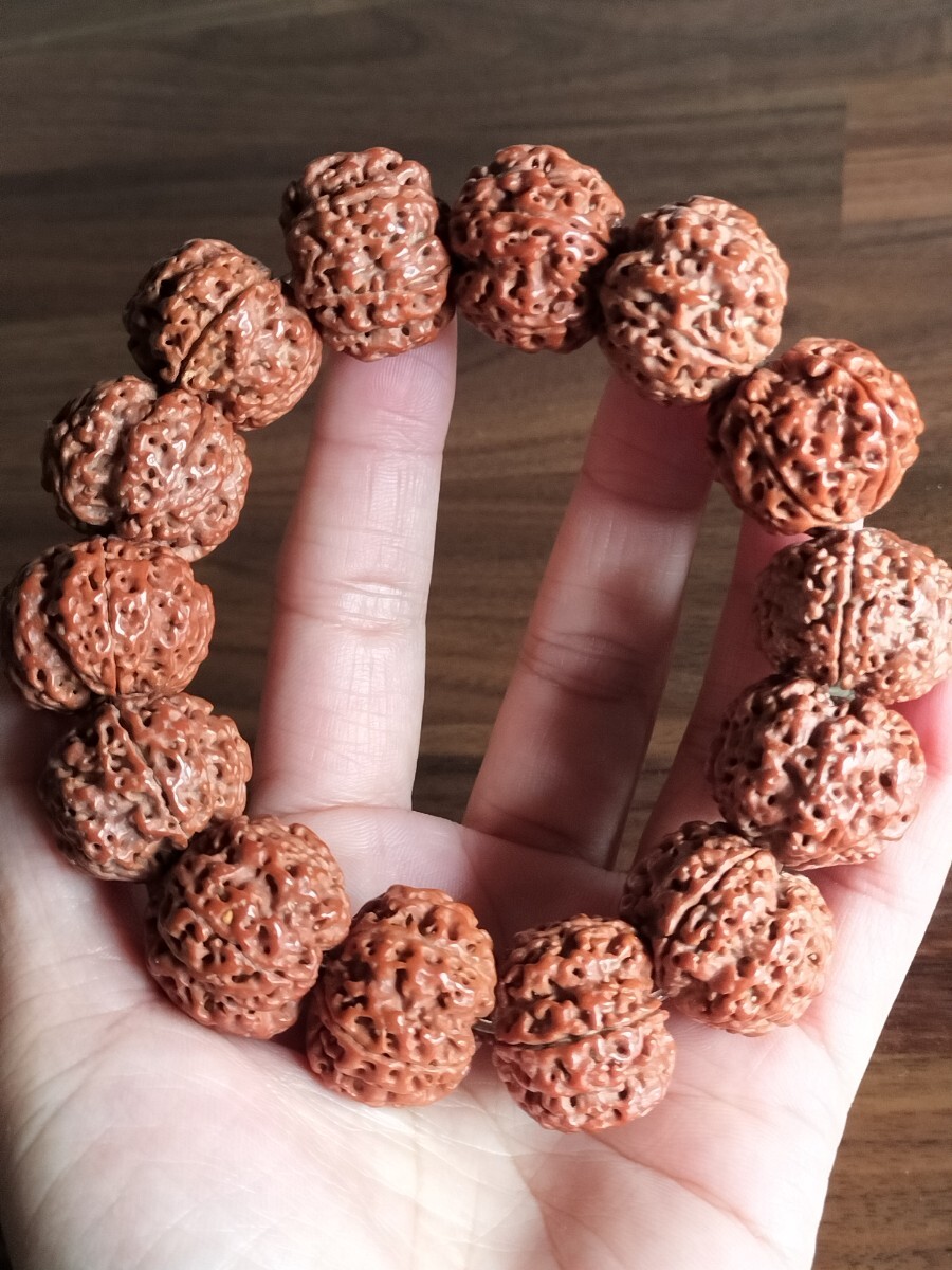 天然金剛菩提 ネパール産 5ムキ ルドラクシャ 大粒肉 腕輪 ブレスレット拍卖