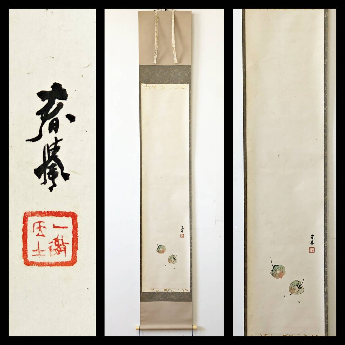 【模写】W505【 山元春拳/円融斎/一徹居士 滋賀県膳所町生まれ 『ほうずき』】掛軸/彩色日本画/紙本/共箱拍卖