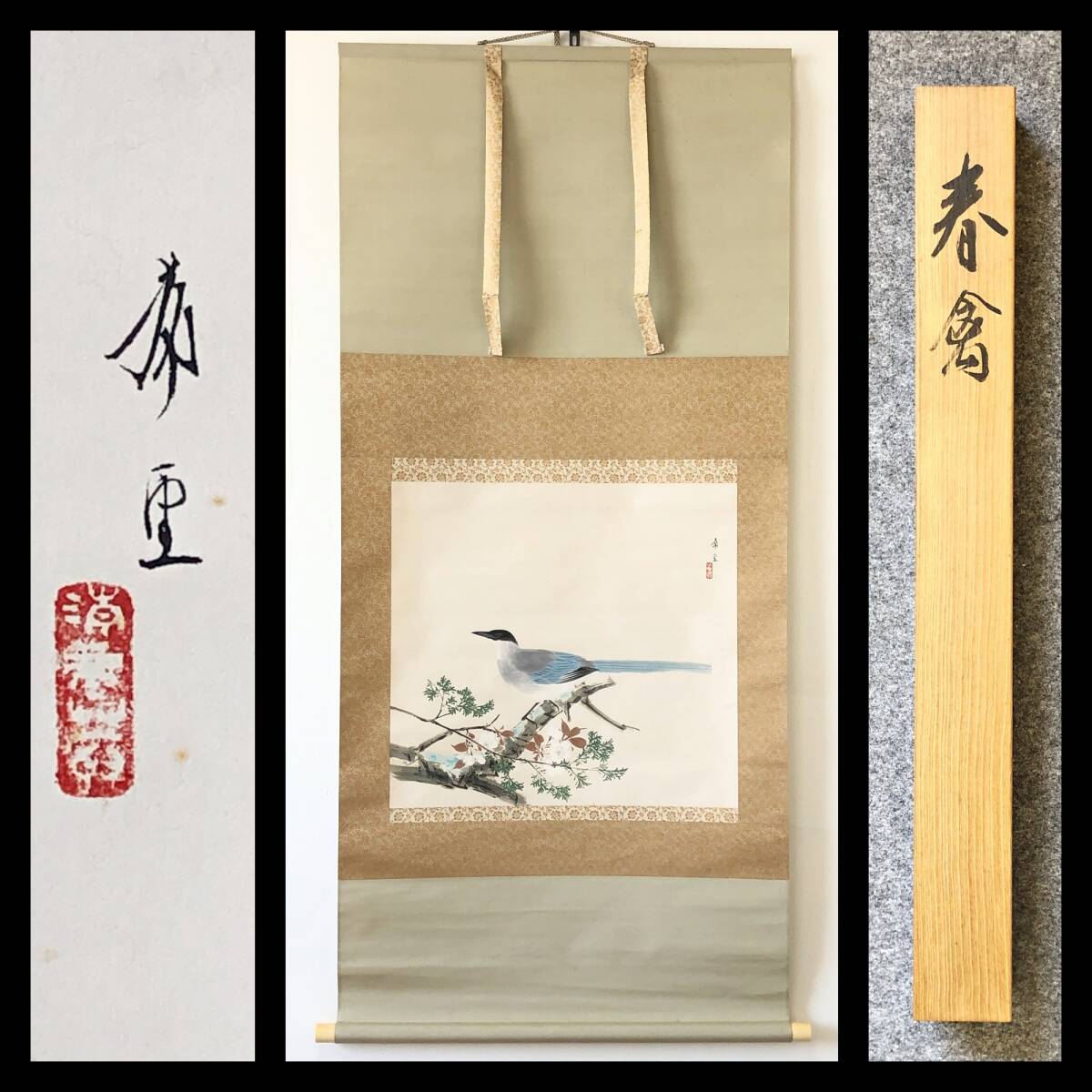 【真作】W555【 児玉希望 日本画家/日本芸術院会員/師・川合玉堂 『春禽』】掛軸/彩色日本画/紙本/共箱/二重箱拍卖