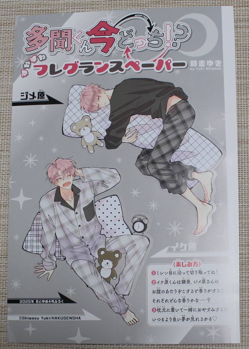 多聞くん今どっち フレグランスペーパー 花とゆめ 2025年 4号綴じ込み付録【非売品】拍卖