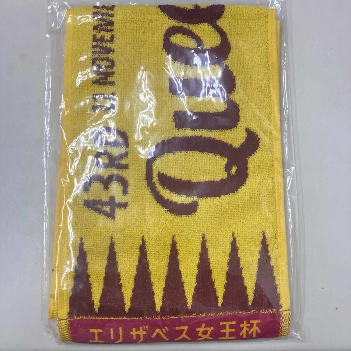 S【2E217】未開封 美品 タオル マフラータオル 馬 ホース 競馬 応援タオル エリザベス女王杯 43rd 2018拍卖