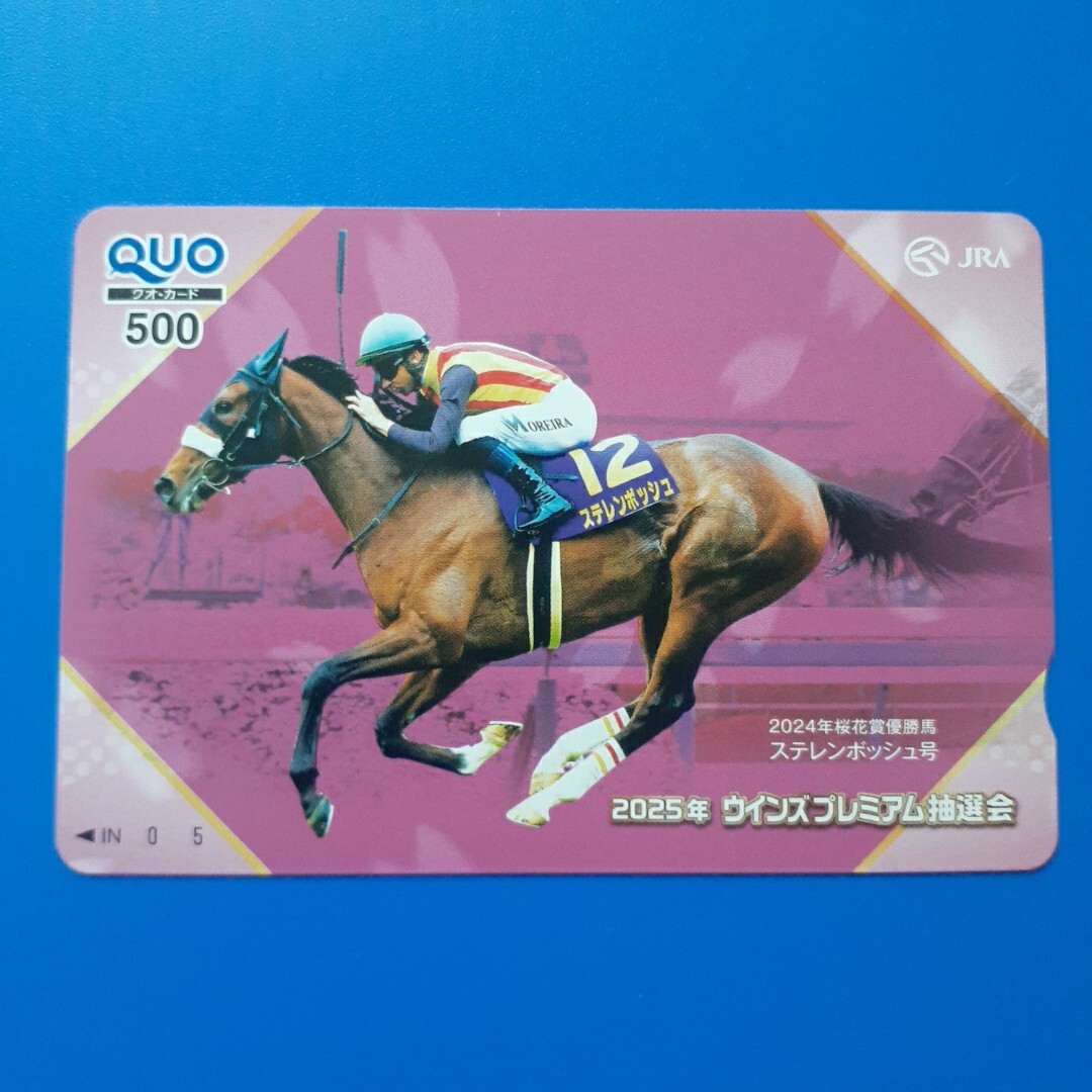 JRA◆ウインズ 2025 プレミアム抽選会◆ステレンボッシュ◆クオカード拍卖