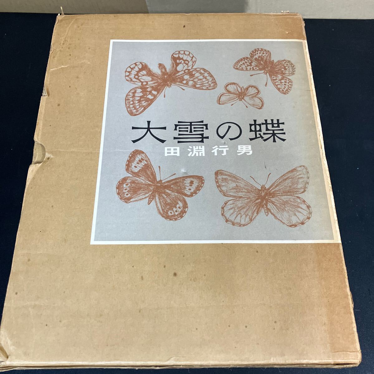 『 大雪の蝶 』田淵行男 朝日新聞社 昭和53年拍卖