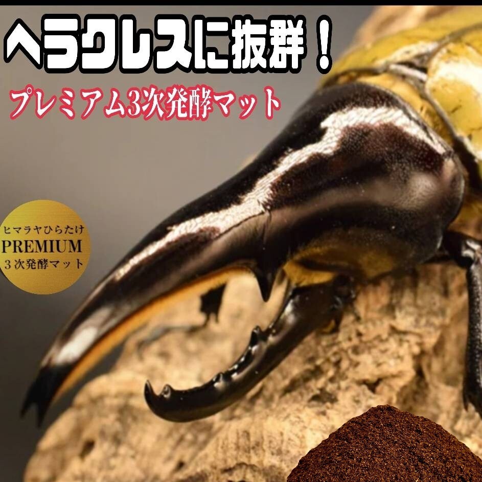 極上品!さらにグレードアップしたプレミアム3次発酵カブトムシマット バクテリア強化配合!ヘラクレス181ミリ羽化実績!産卵にも抜群拍卖