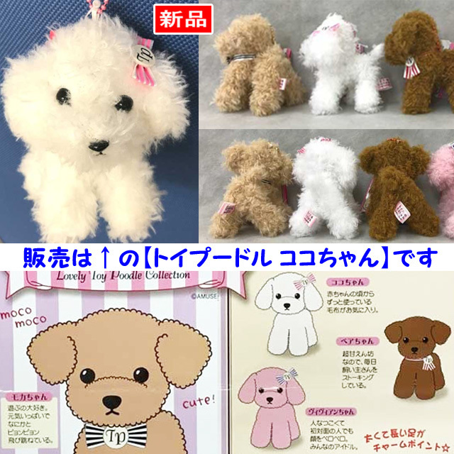 【送料無料/即決】マスコット いぬ トイプーのモカちゃん ココちゃん 白 1個 ボールチェーン付 アミューズ 1128拍卖