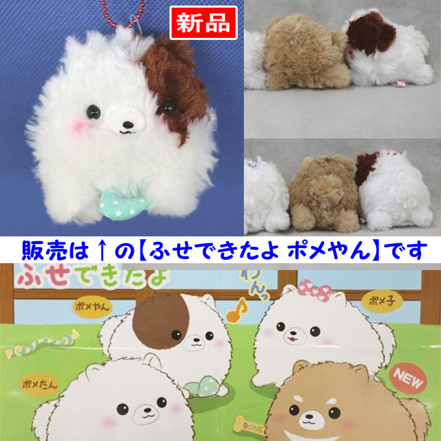 【送料無料/即決】マスコット いぬ ポメたん ふせできたよ ポメラニアン ポメやん 白&茶 1個 ボールチェーン付 アミューズ 1105拍卖
