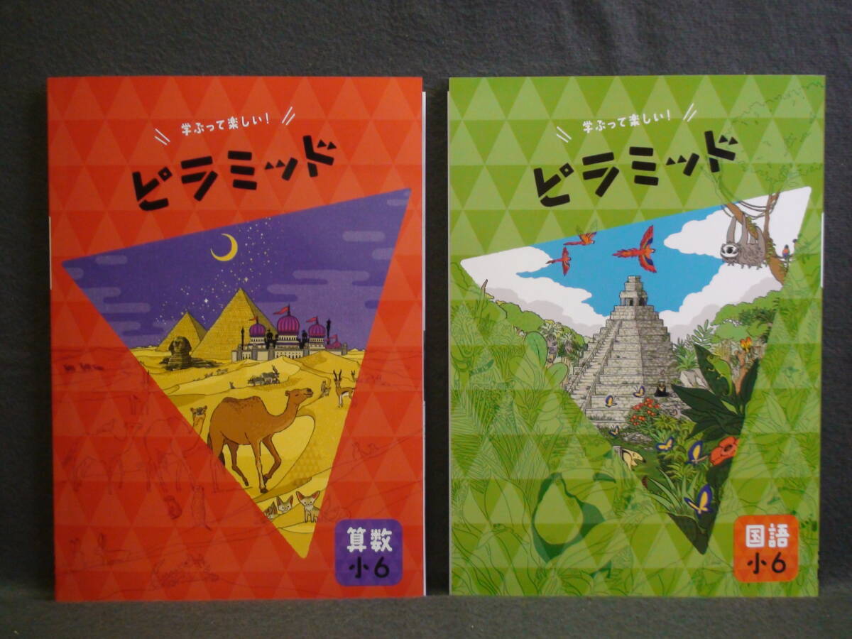 ★ 即発送 ★ 新品 最新版 ピラミッド 国語と算数 2教科セット 小6 解答・確認テスト付 6年拍卖