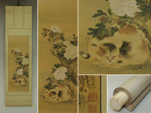 【模写】円山応挙【牡丹猫】◆絹本◆合箱◆掛軸 s12036拍卖