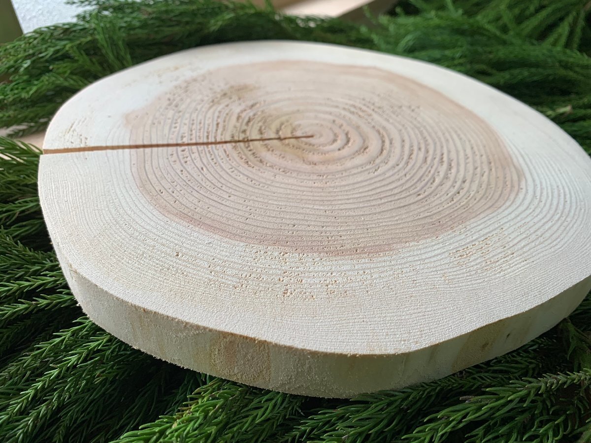 丹波杉 輪切り 直径20~23cm 厚さ約2.6cm 皮剥ぎ 1枚拍卖