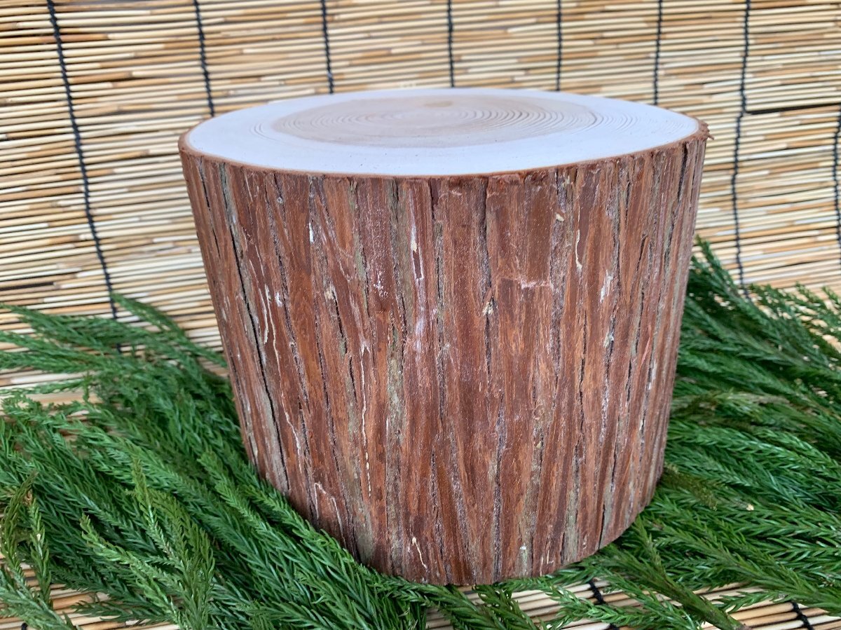 (皮付き)丹波産 杉 直径 約17~20 高さ約15cm拍卖