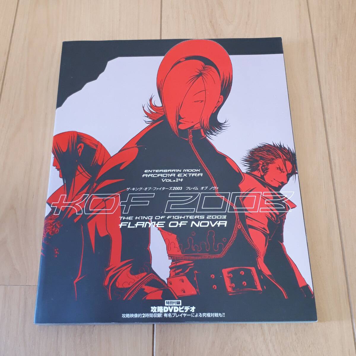 THE KING OF FIGHTERS 2003 FLAME OF NOVA キングオブファイターズ2003フレイムオブノヴァ拍卖