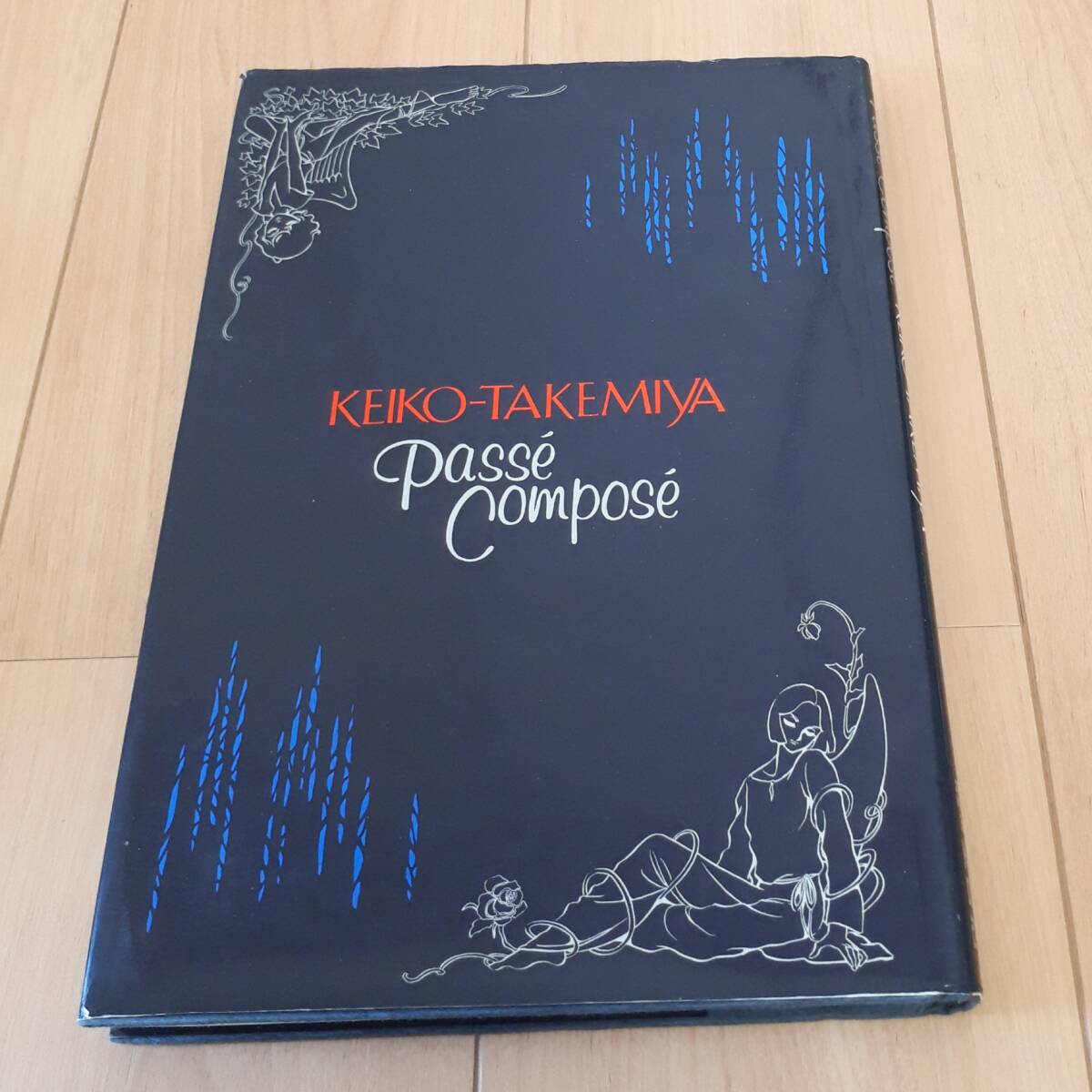 竹宮恵子 KEIKO TAKEMIYA Passe Compose拍卖