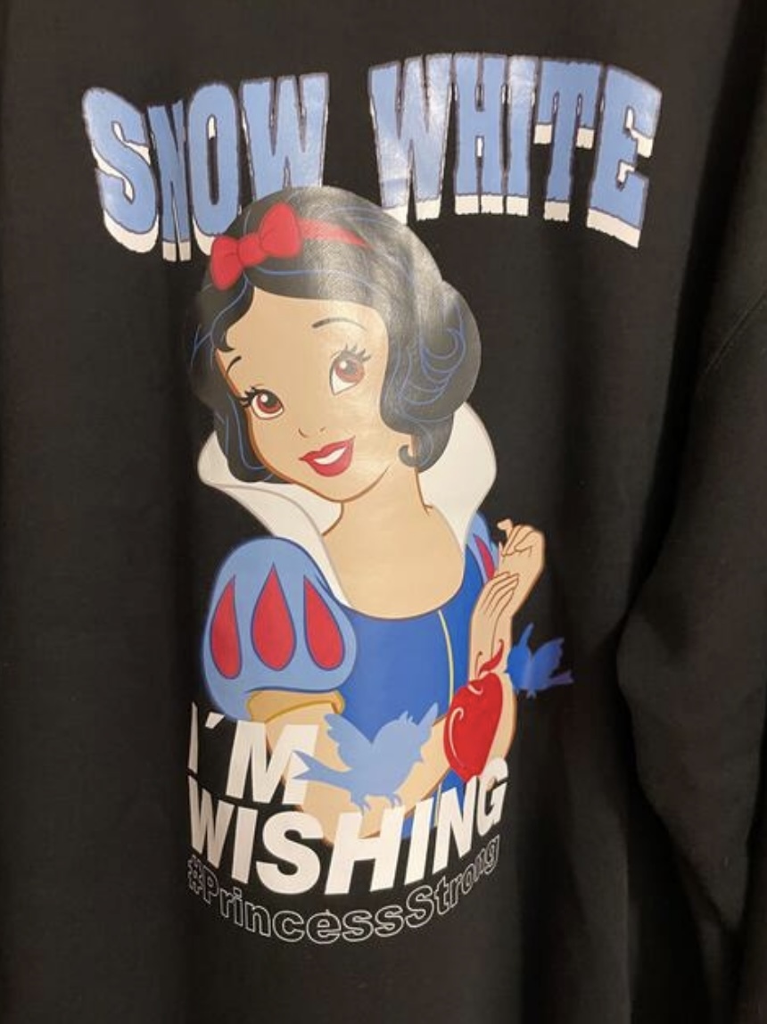 送料込☆ ディズニー 白雪姫 トレーナー Lサイズ拍卖