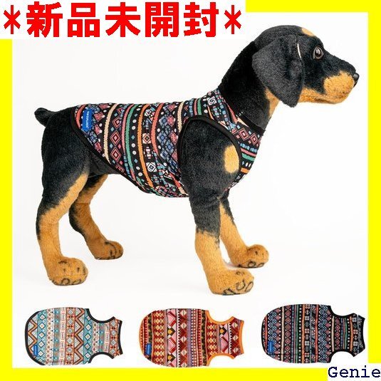 PAW EXPLORER | Festive Shir 速乾 重ね着 体温調節 UV オールシーズン アウトドア 59拍卖
