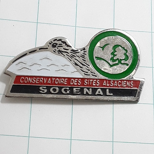 送料無料)キウイ 鳥 輸入 ピンバッジ ピンズ PINS A29309拍卖
