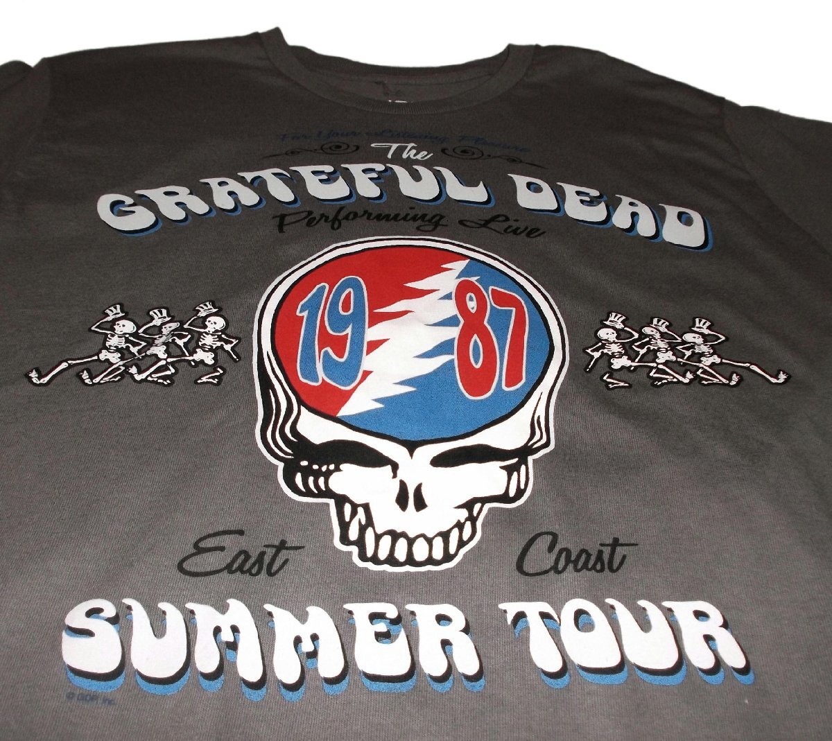 ★グレイトフル デッド Tシャツ Grateful Dead 87ツアー - XL 正規品 骸骨 steel your face ベアー 60s bear拍卖