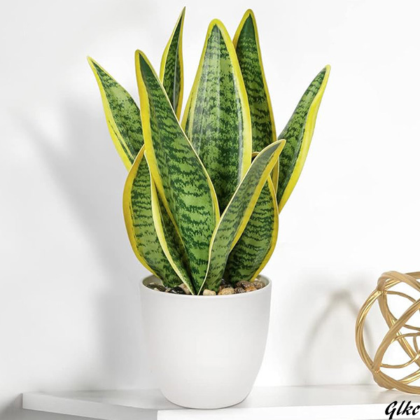 【光触媒機能で空気清浄効果があり、室内環境を快適に保つ】 フェイクグリーン サンスベリア 人工観葉植物 造花 卓上鉢植え拍卖