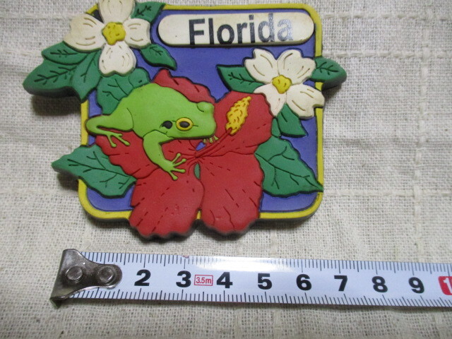 磁石 フロリダ Florida カエル拍卖