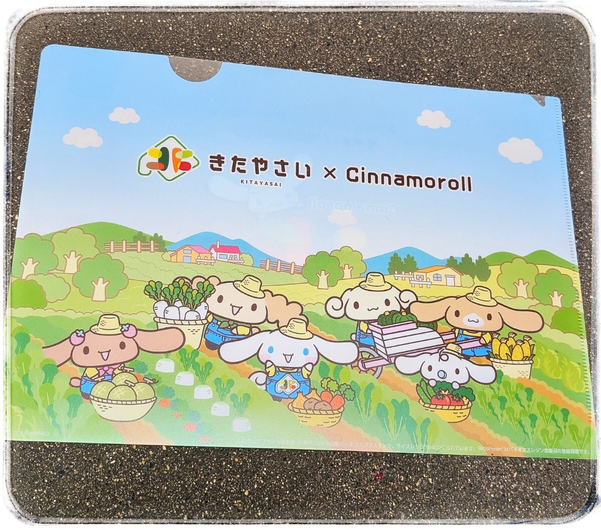【新品 未使用】非売記念品 サンリオ SANRIO シナモンロール CINNAMONROLL コラボ クリアファイル拍卖