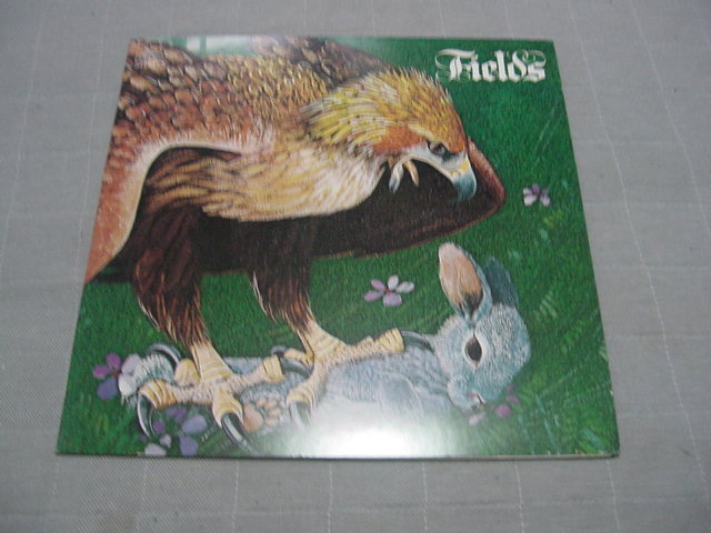 LP「FIELS フィールズ」日本盤/ECPL-9/初回盤拍卖