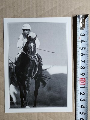 競馬 絵はがき 非売品ポストカード JRA テンポイント 鹿戸明 レース名記載なし 久保吉輝拍卖