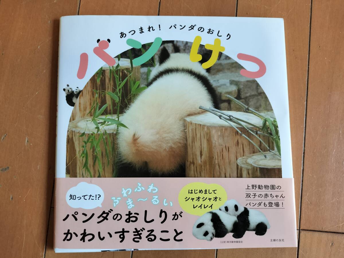 パンけつ あつまれ!パンダのおしり拍卖