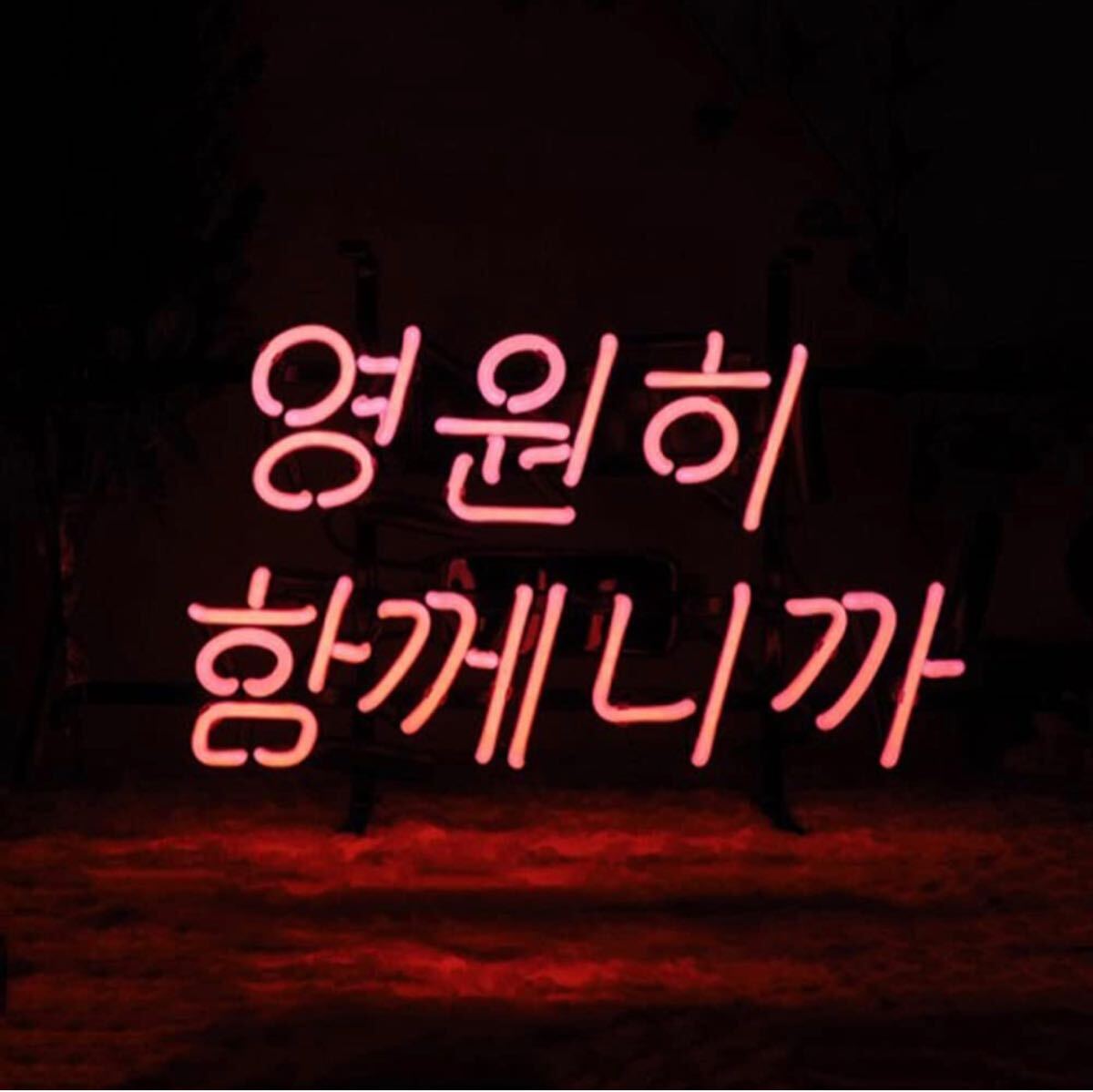 オリジナル 韓国語 ネオン看板 赤ピンク 韓流文字ライトネオンサイン ピンク ネオン管 拍卖