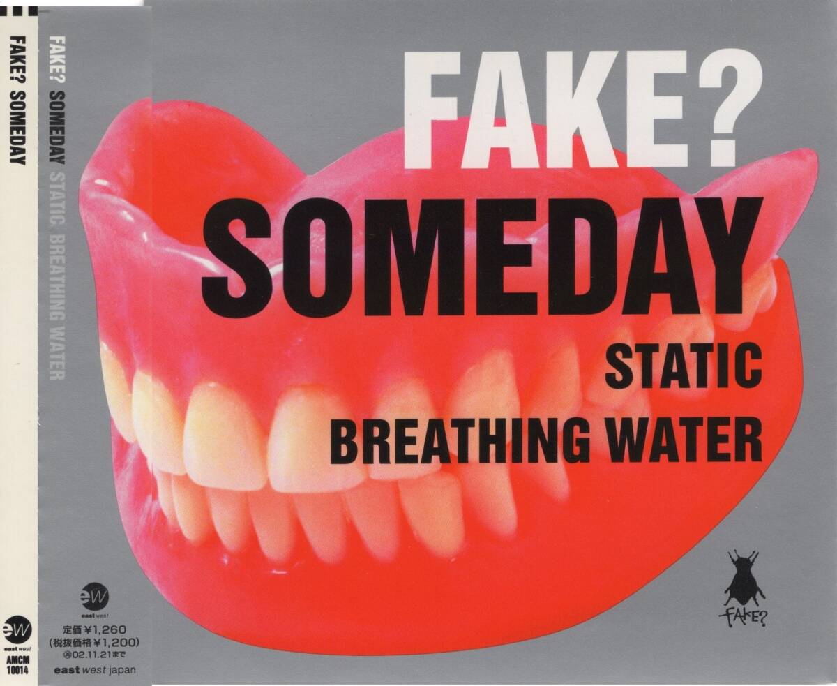 08-58【即決】★送料無料★新品ケース付★FAKE? (INORAN+ケン・ロイド)★SOMEDAY/STATIC/BREATHING WATER★2002年★拍卖