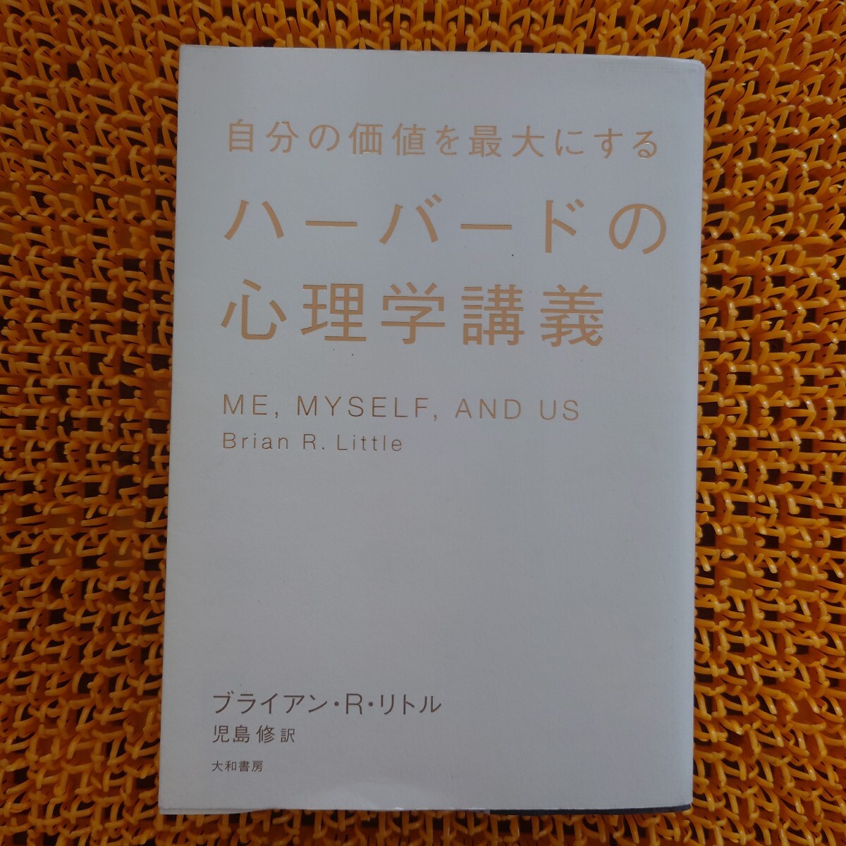 【訳あり 折れあり】自分の価値を最大にするハーバードの心理学講義 (自分の価値を最大にする) ブライアン・R・リトル/著 児島修/訳拍卖