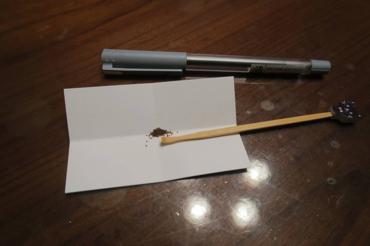 ニコチアナ バーリー種(Burley Jupiter)種子約100粒(耳かき三匙分)|私はアマゾンには一切出品していません!|第四種郵便で発送拍卖
