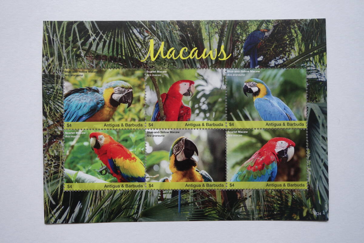外国切手: アンティグア・バーブーダ切手 「コンゴウインコ」 6種m/s 未使用拍卖